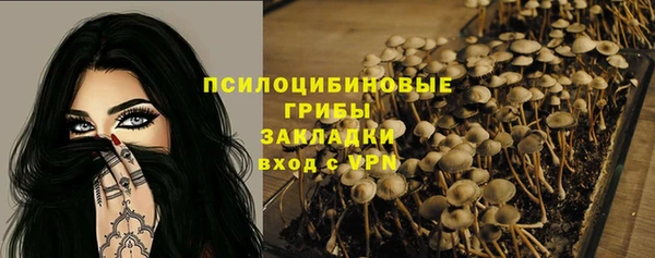 индика Балабаново