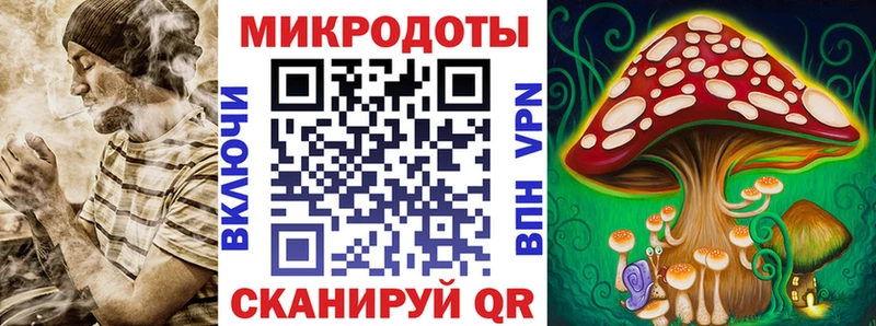 Псилоцибиновые грибы Cubensis Суворов